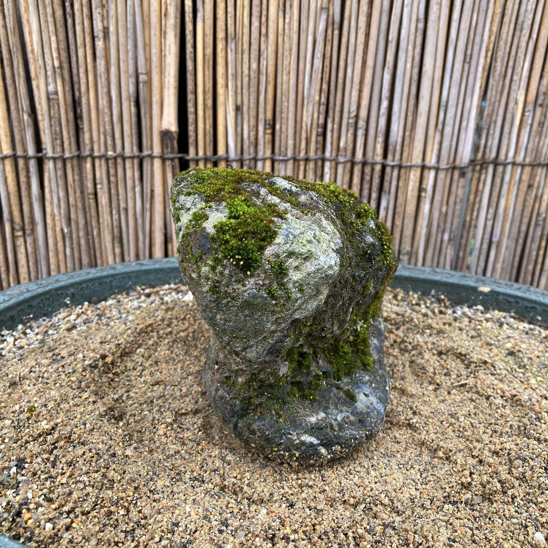 京都　貴船　糸掛石【A】