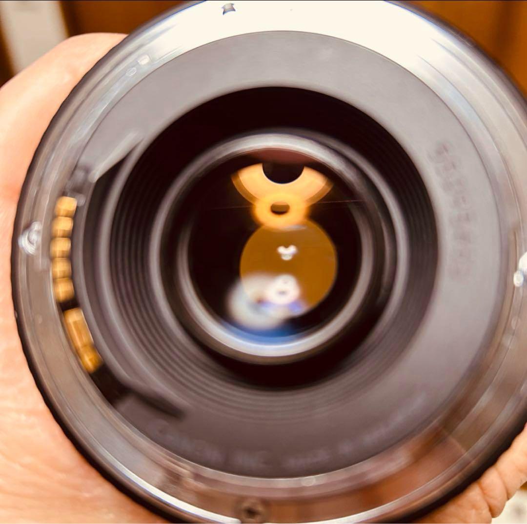 望遠レンズ Canon EF 75-300mm F 4-5.6 Ⅲ USM