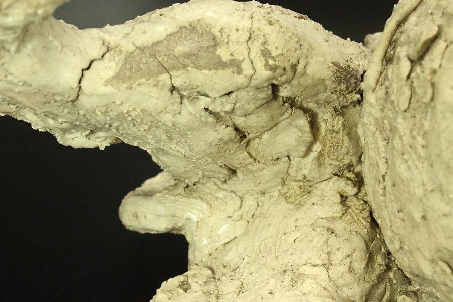 古美術 古萩 獅子 置物 時代物(A676)