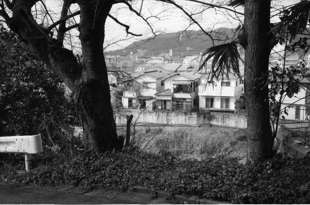 試写済：オリンパス　35ＤＣ後期型