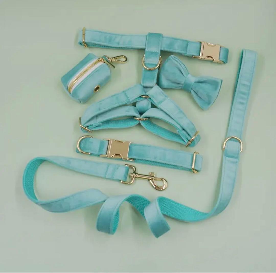 オーダー 首輪 名前 迷子札ハーネス ベルベット バックル ティファニーブルー