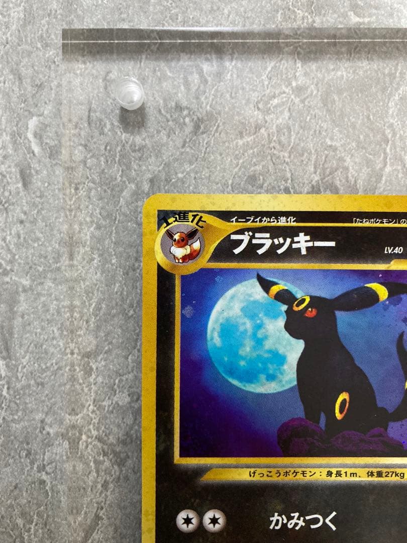 美品 旧裏 ブラッキー ★ 拡張パック第2弾 遺跡をこえて…