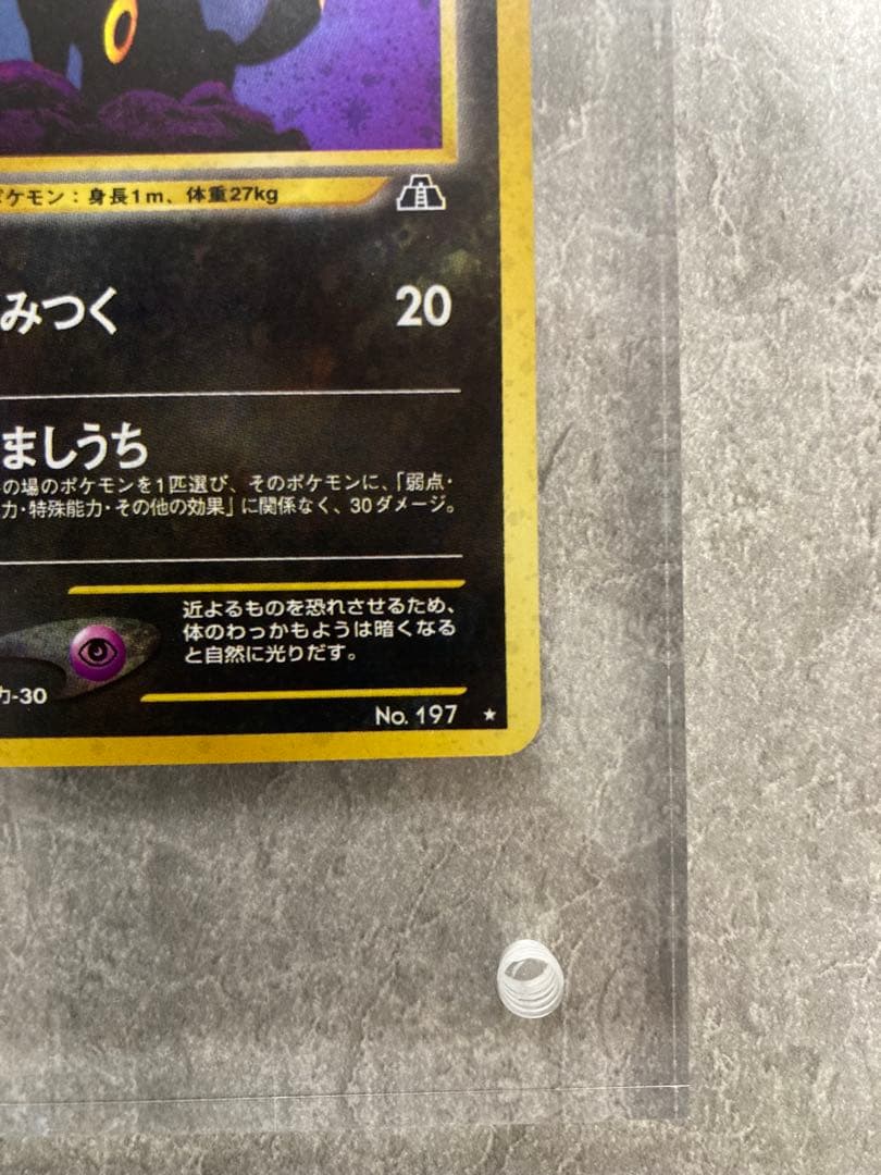 美品 旧裏 ブラッキー ★ 拡張パック第2弾 遺跡をこえて…