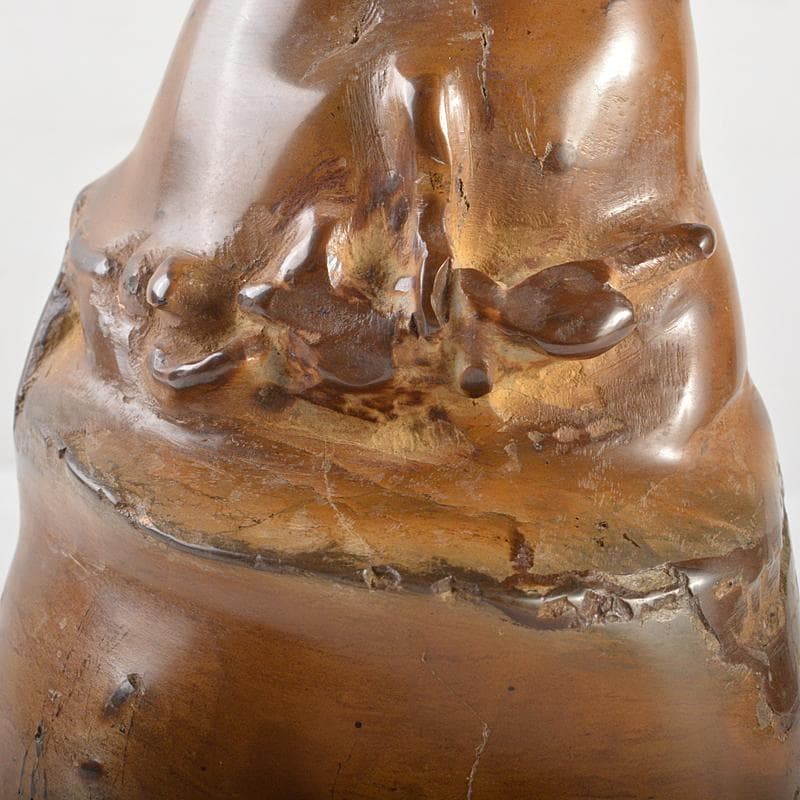 天然石　鑑賞石　安倍川　鉄丸石　置物　唐木台付　C　R7096