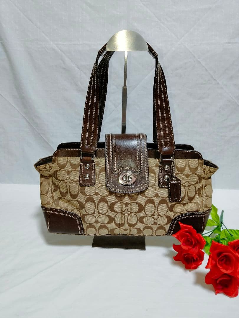 美品 コーチ COACH ハンドバッグ シグネチャー 13975