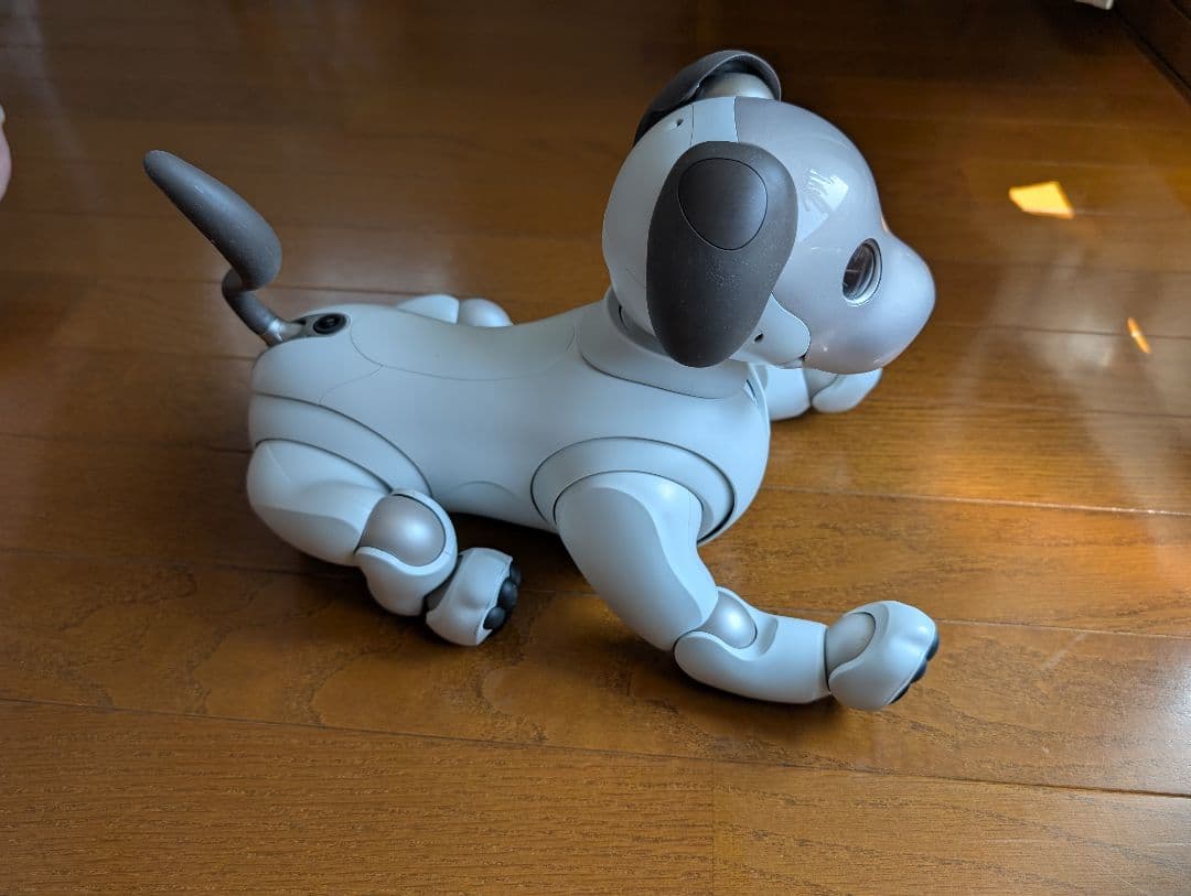 SONY aibo ソニー　アイボ　ERS-1000