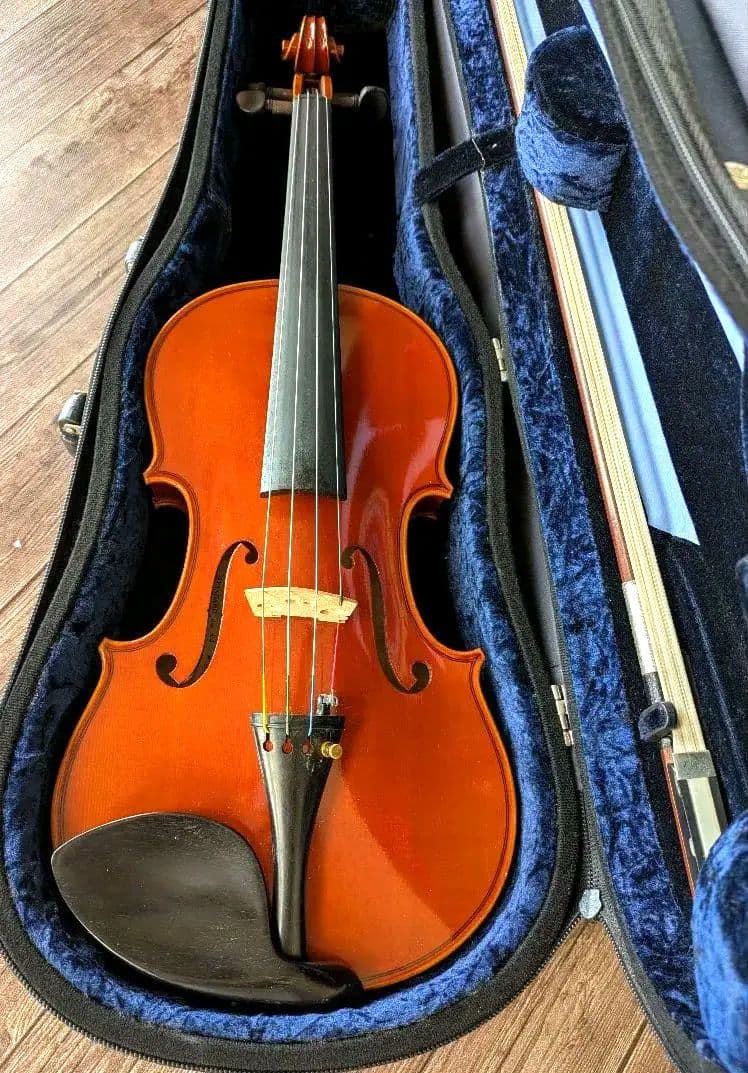 あゆみPygmalius Derius Giapponese 4/4