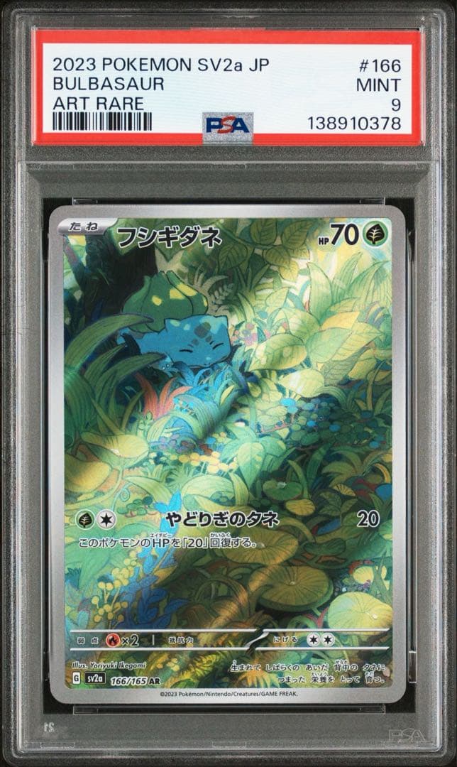 御三家 フシギダネ ヒトカゲ ゼニガメ AR 151 PSA10 3連番　ポケカ