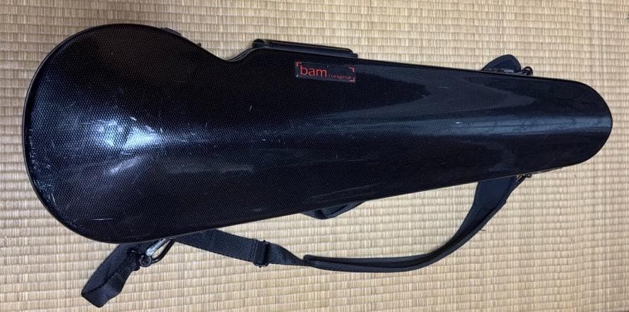 Bam ブラックバイオリンケース
