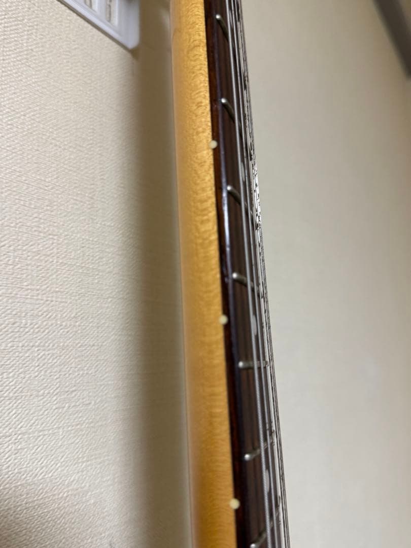 Navigator jaguar サンバースト