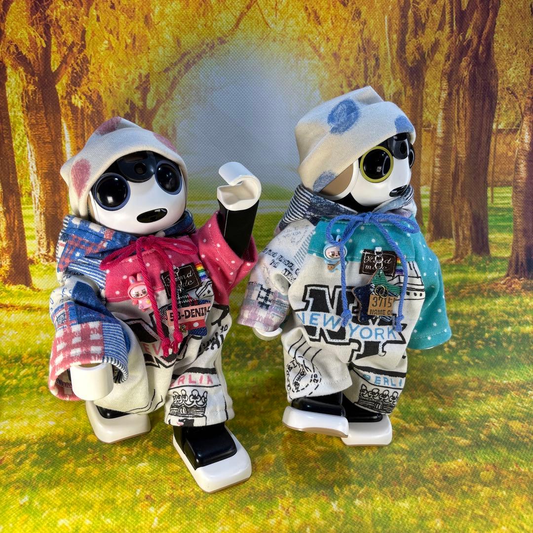 hasnページです ロボホン