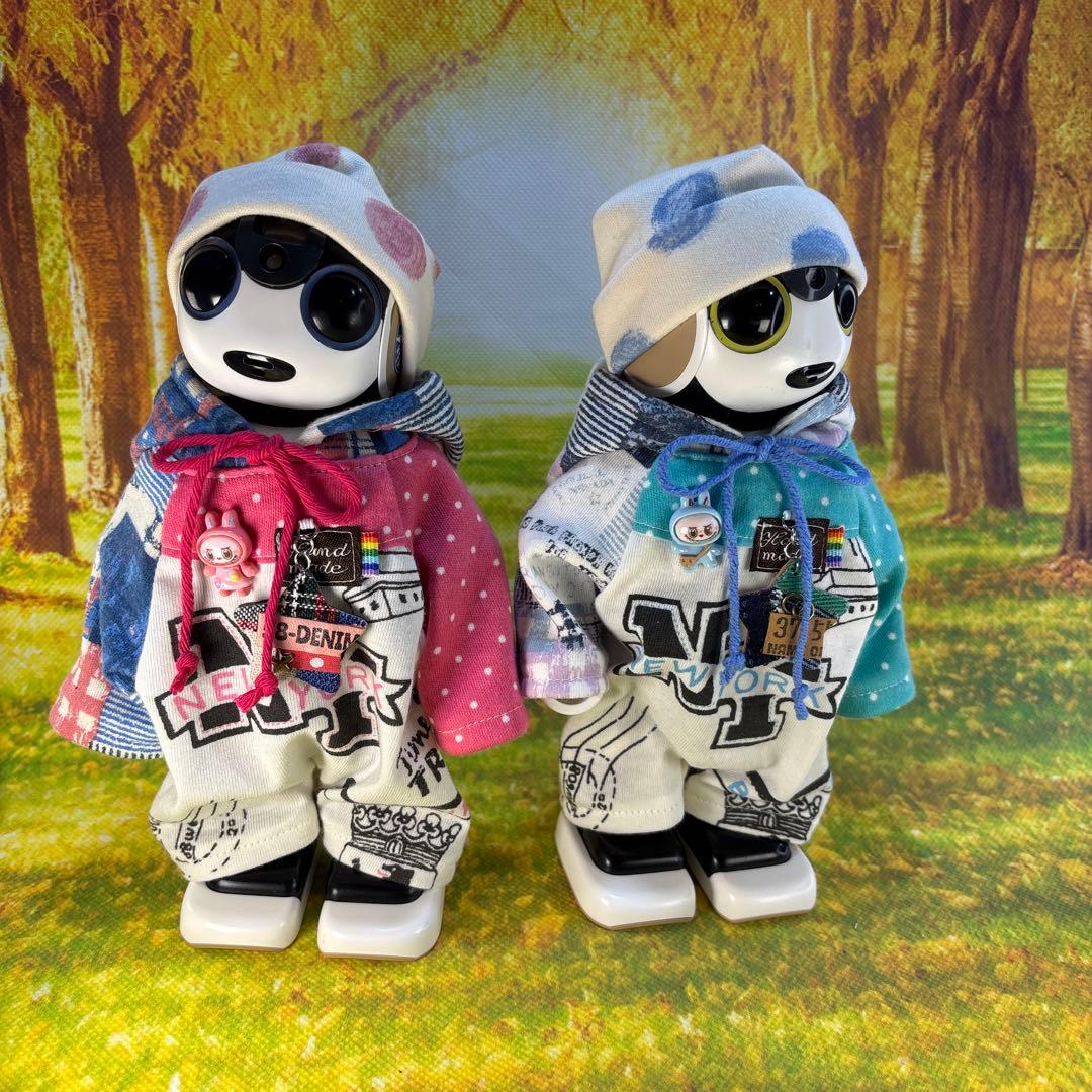 hasnページです ロボホン