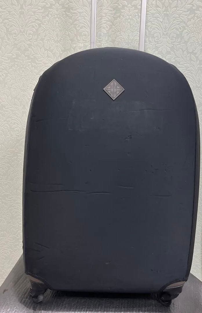 FPMスーツケースGray Spinner 67 Trolley Bag