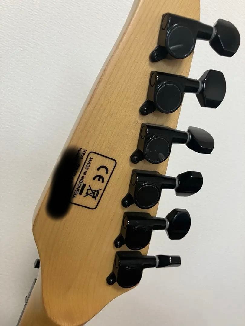 B*d様 sire x5 /TBK.S