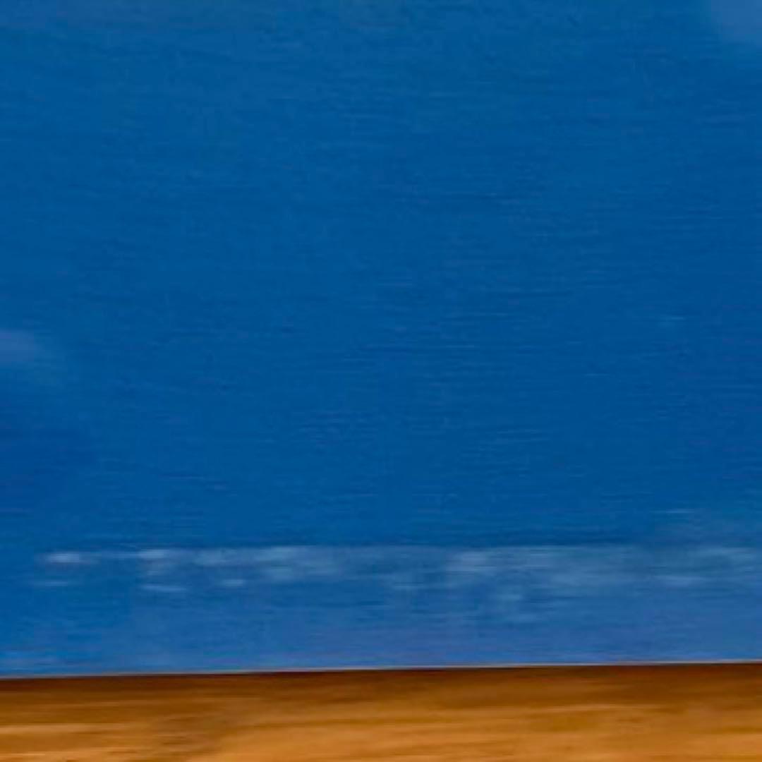 ディックブルーナ　水平さん　アクリル板　珍品