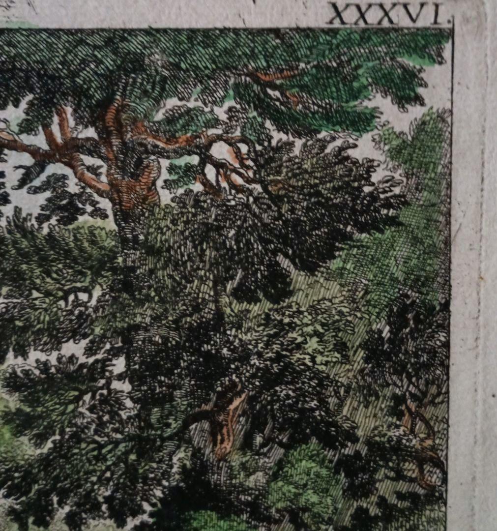 額装品　古典版画　1685年　FALDA 「Villa Frescada」ローマ