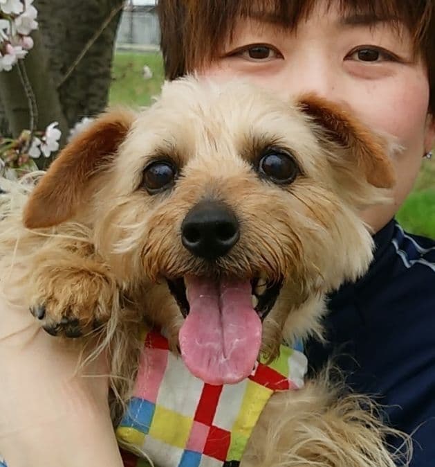 Sky　Flowerサマ❤️