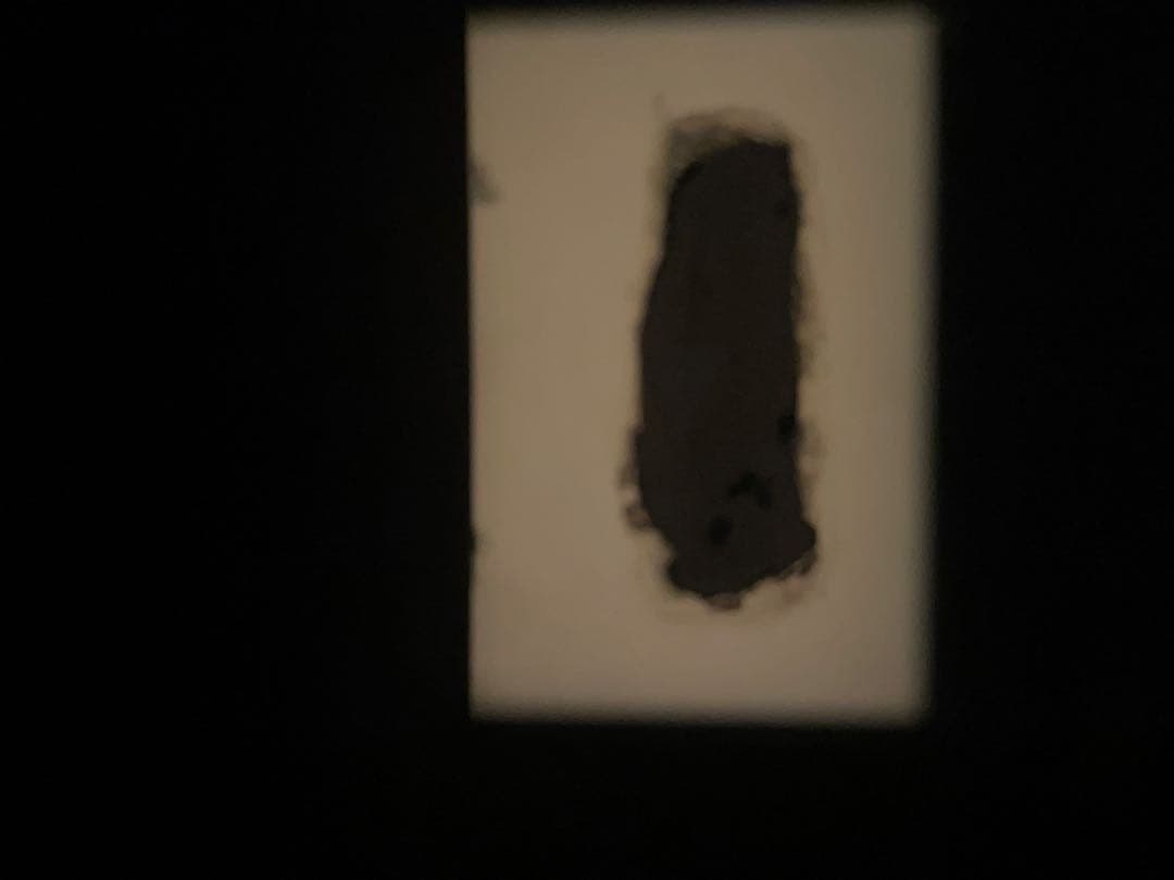 Nikon f2 アイレベル シャッター全速完動 ファインダー難あり