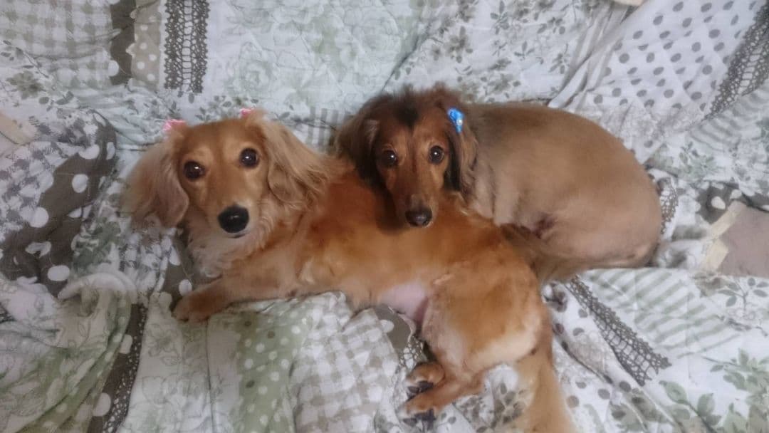 みるく様　画像確認用