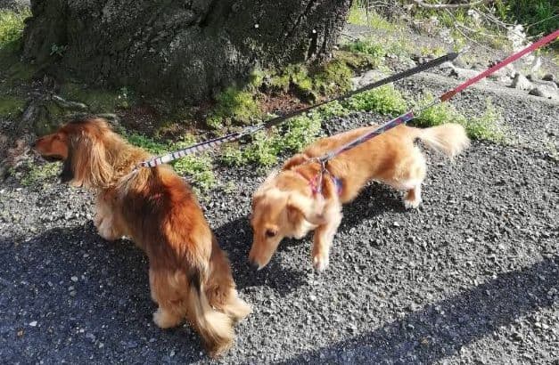 みるく様　画像確認用