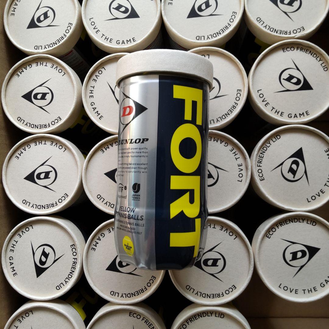 ダンロップ フォート テニスボール 25缶