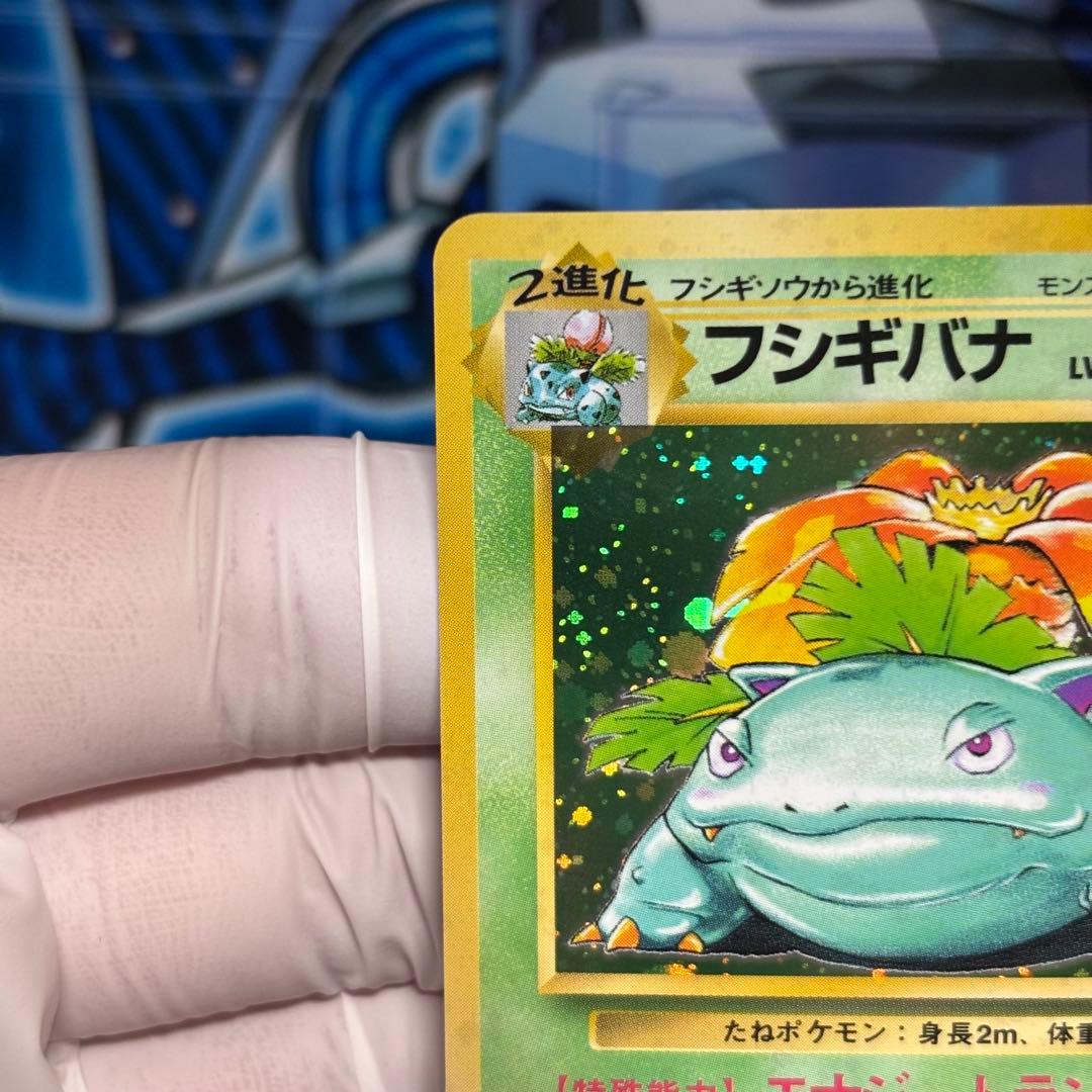 【極美品】旧裏 フシギバナ ★ 第1弾拡張パック