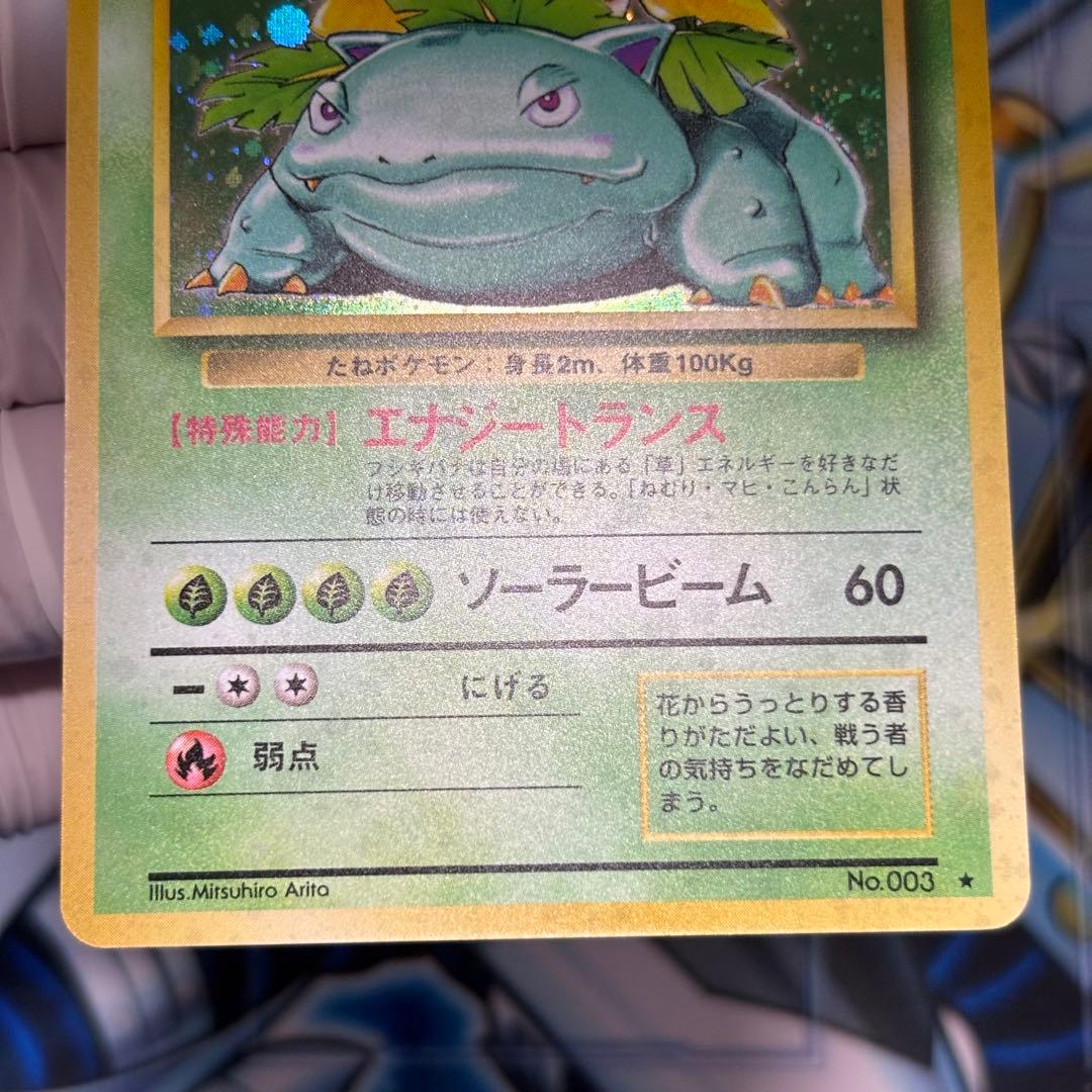 【極美品】旧裏 フシギバナ ★ 第1弾拡張パック