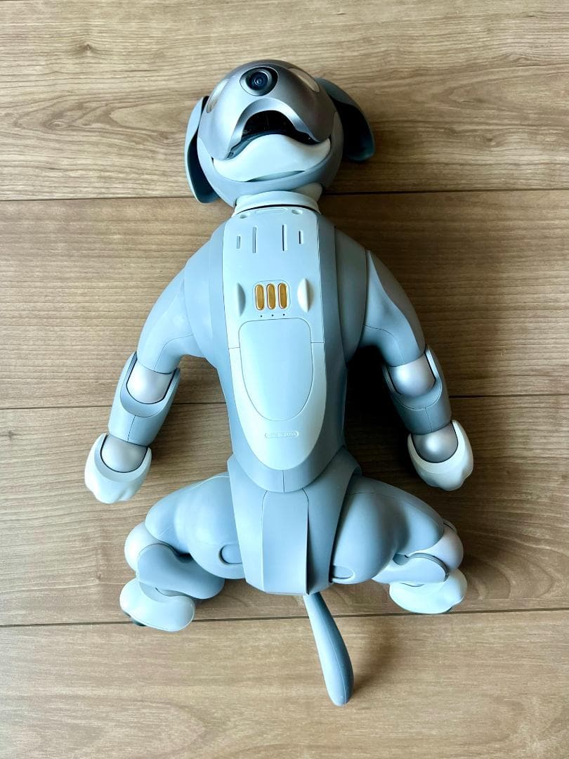 Sony aibo ERS-1000　限定カラーモデル「黒ゴマエディション」