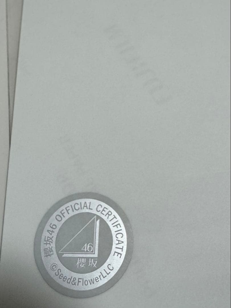 櫻坂46 守屋麗奈 クリスマスサンタ衣装 直筆サイン入り生写真