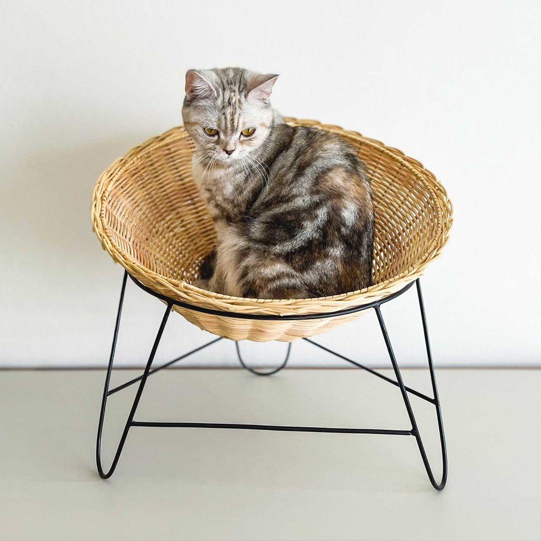 値下げ オルネコ アイアンレッグラタンチェア おまけつき