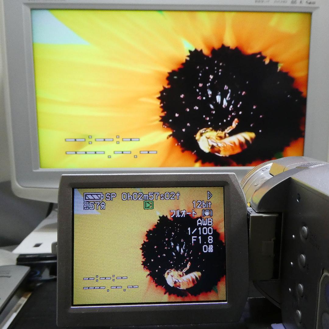 動作良好 パナソニック NV-GS400 MiniDVビデオDVDダビングに最適