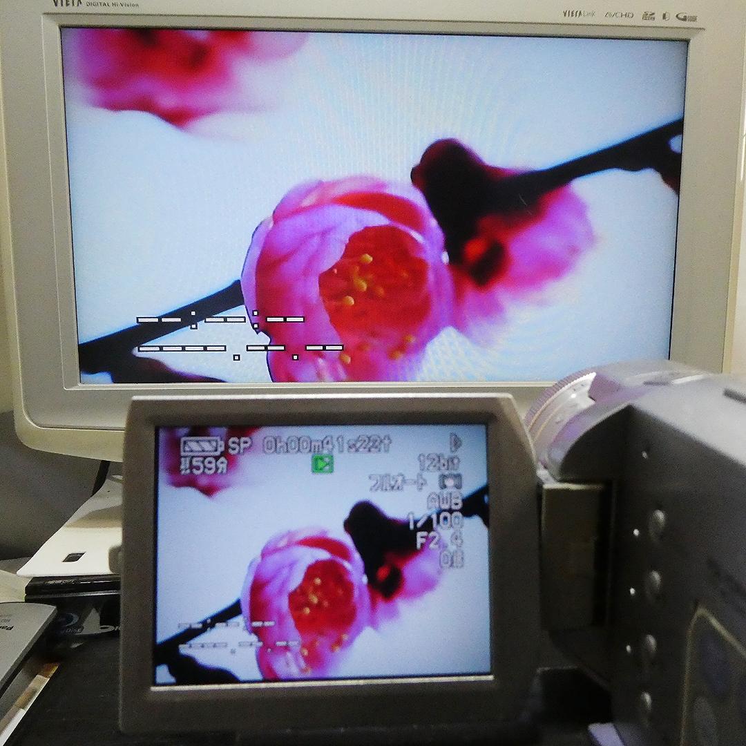 動作良好 パナソニック NV-GS400 MiniDVビデオDVDダビングに最適