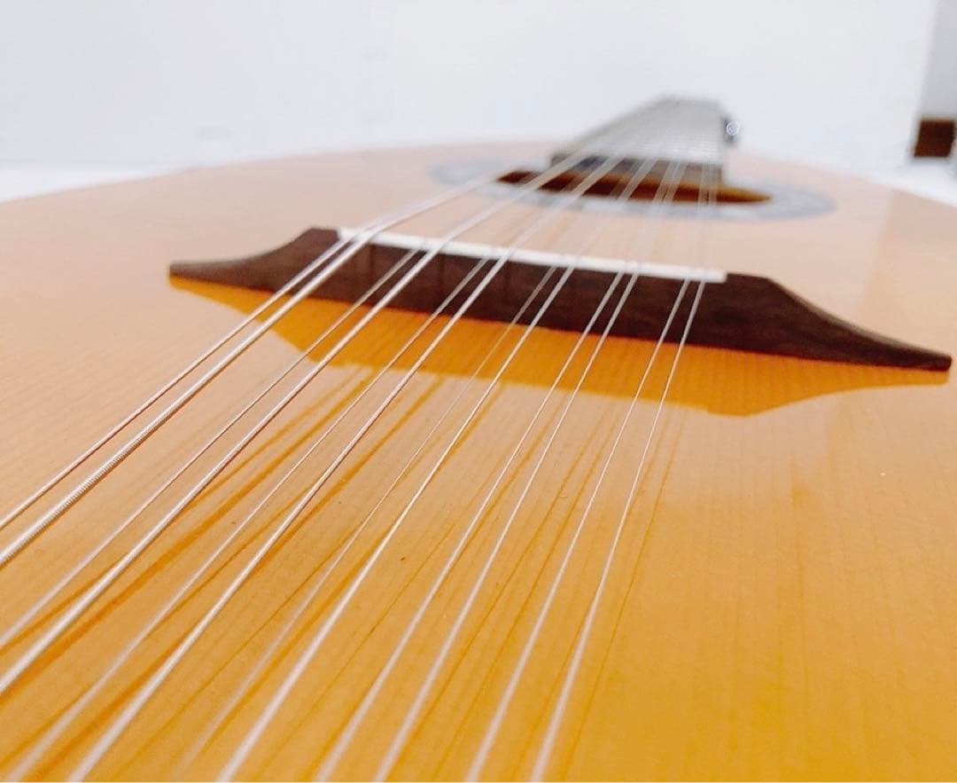 【超希少 メンテ済】L.PATENOTTE Lutheir マンドセロ 12弦