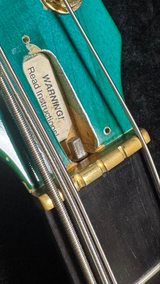 Pedulla MVP-5/5弦エレキベース