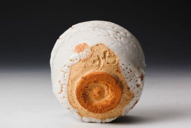 【佳香】玉置保夫 志野ぐい呑 共箱 共布