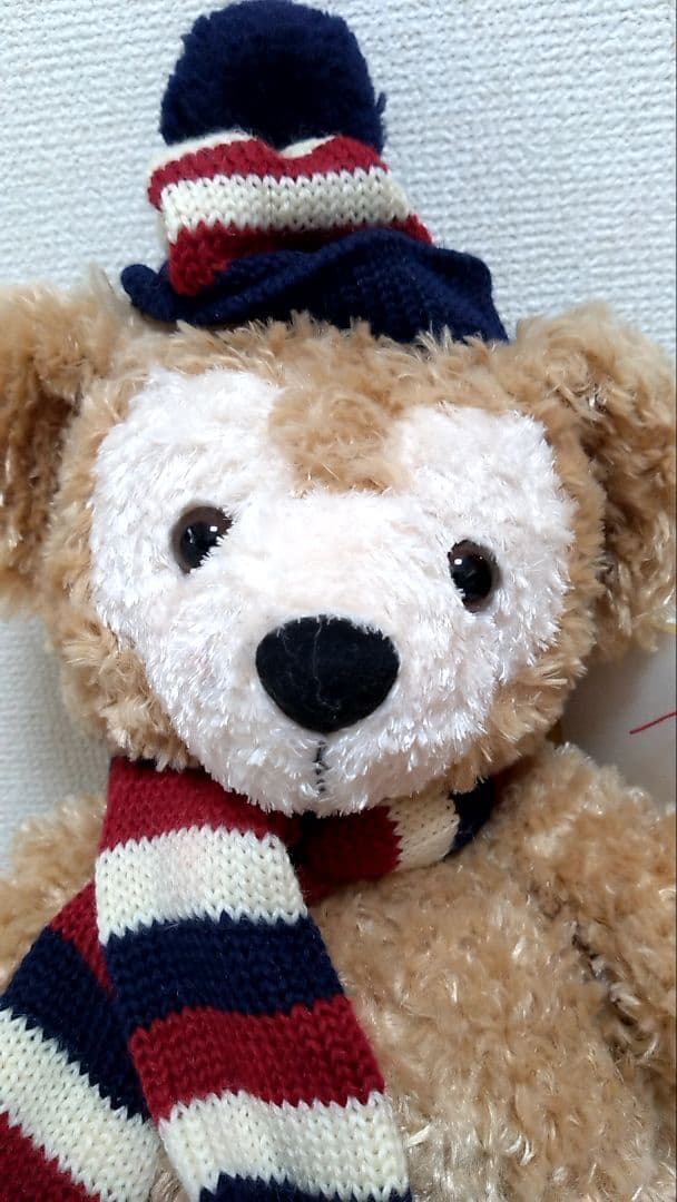 【限定値下げ】TDS ダッフィー ぬいぐるみ“ウインター”