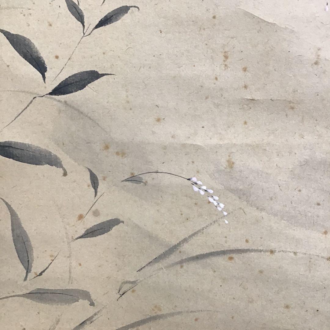 K茶道具　掛軸　「水邊(池蛙)」　双年作　共箱(一部削れ有り)　S215KJ