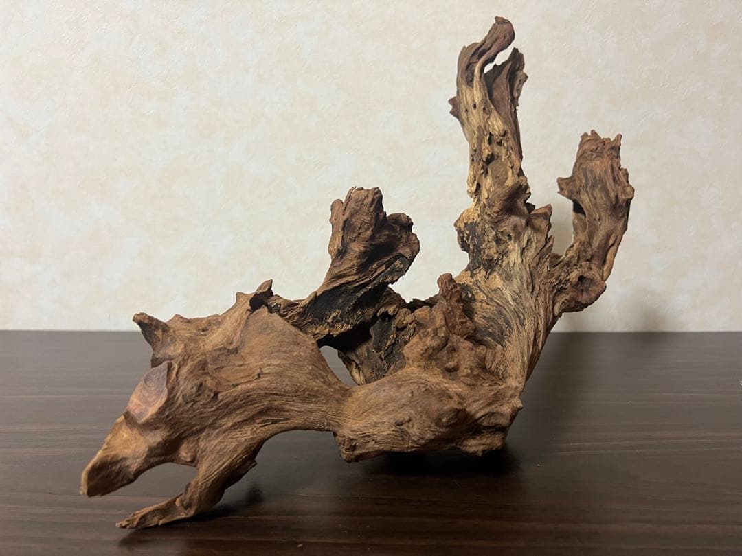 HX-003 流木　ホーンウッド　マシンガンウッド　アクアリウム　ブランチウッド