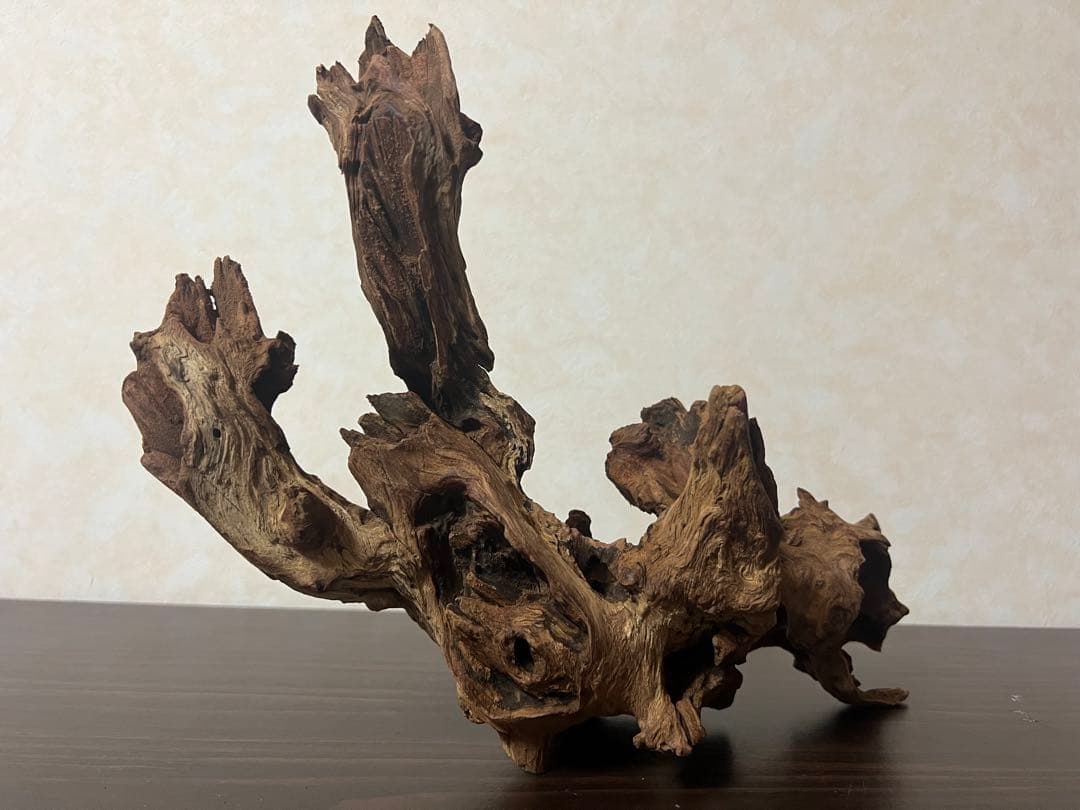 HX-003 流木　ホーンウッド　マシンガンウッド　アクアリウム　ブランチウッド