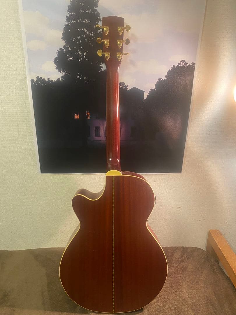 Cort SF-5X エレアコ トップ単板