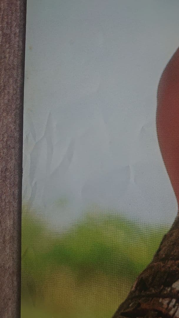 松嶋菜々子 旭化成 特大水着ポスターサイズ B1