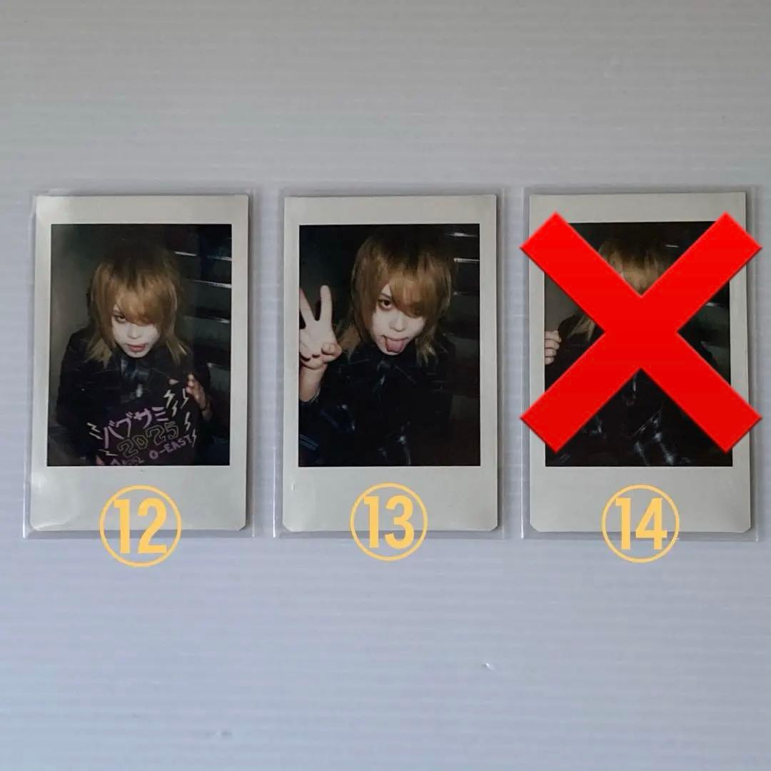 アルルカン 奈緒さん チェキ 14枚 (バラ売り可)