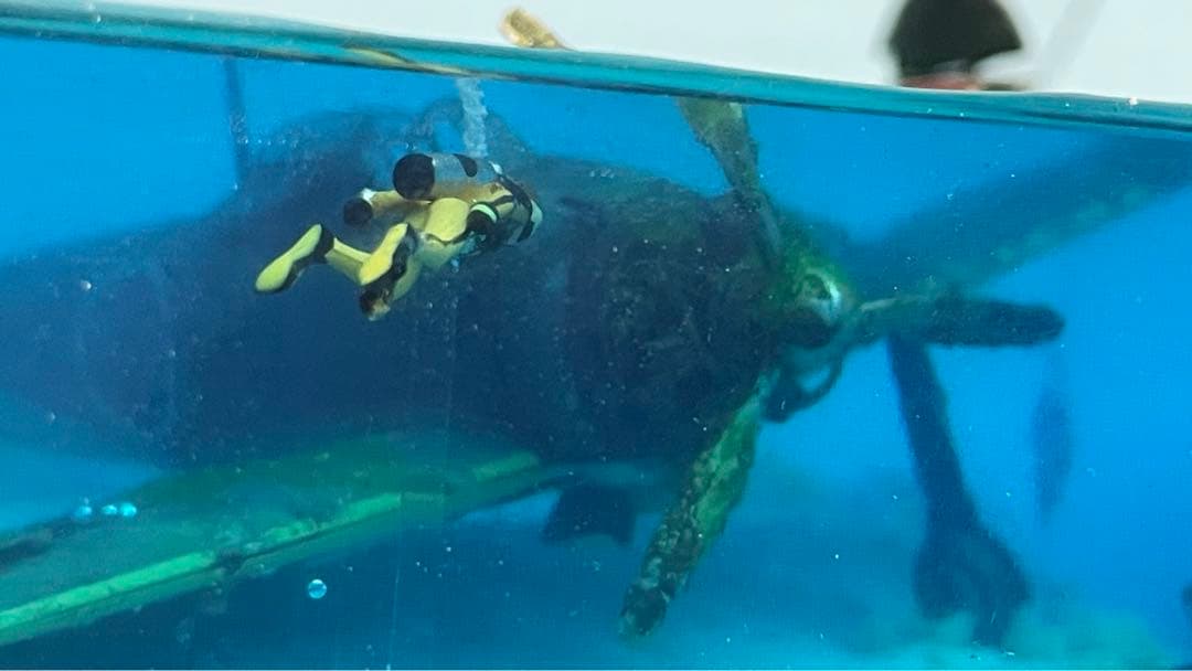 珊瑚の海に眠る零戦　レジン　ジオラマ