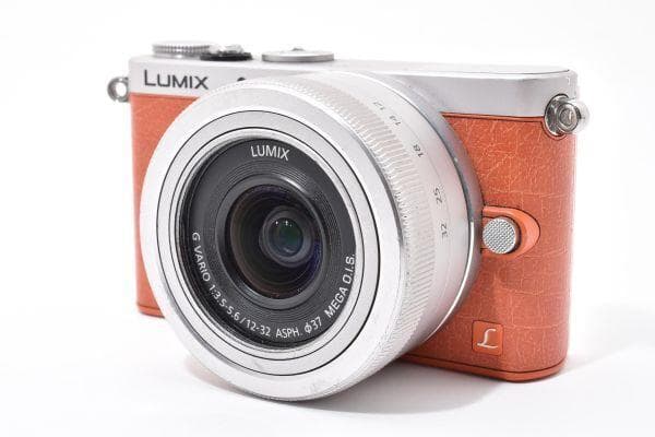 パナソニック Panasonic LUMIX DMC-GM1 レンズキット