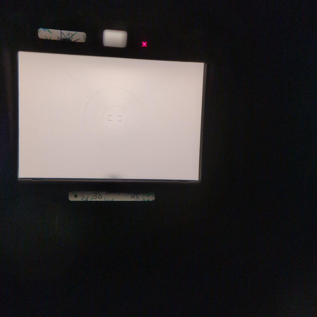 モナカ　Nikon F4　訳あり