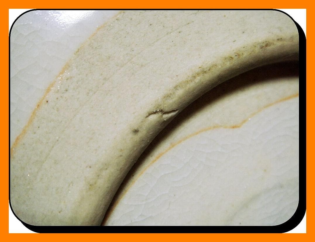 842『御深井焼 貝型 皿』　/骨董品 古美術 アンティーク 古玩