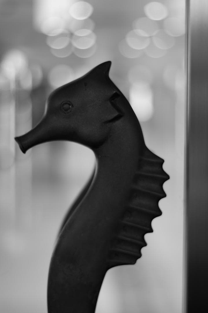 ボケ味美しい撒き餌レンズ！SMC PENTAX-DA 50mm F1.8