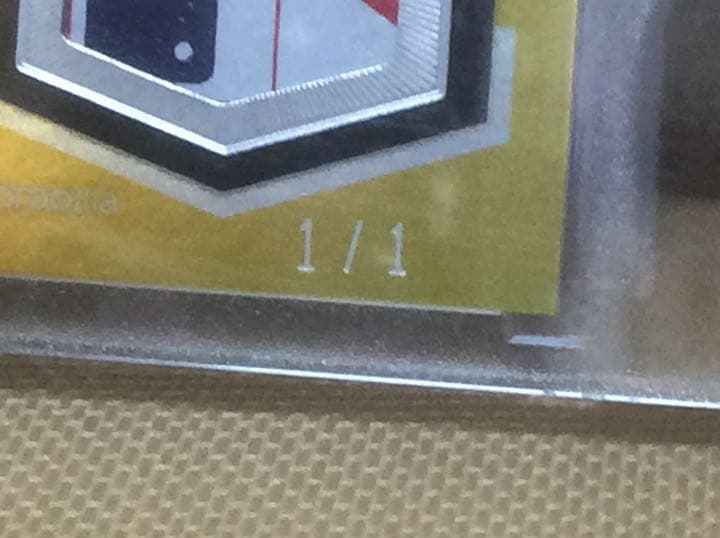 Amed Rosario 2018年ルーキー直書き直筆サインカード1/1