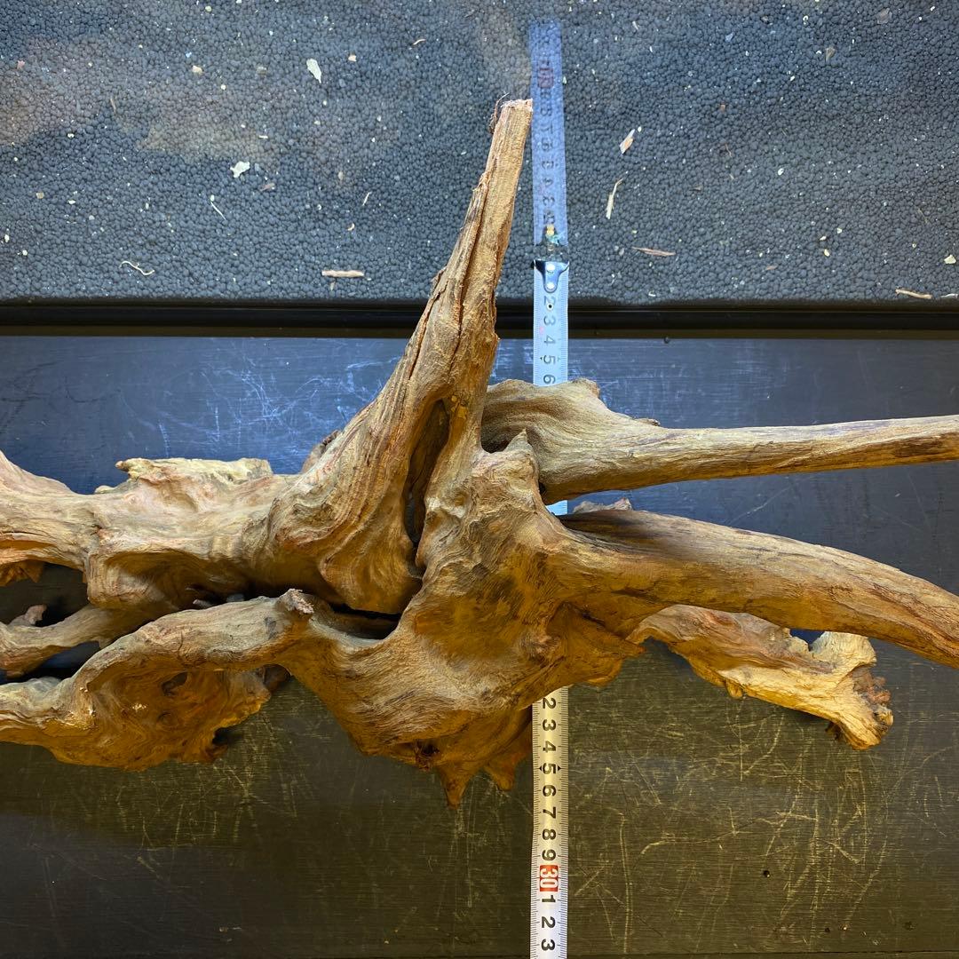MRW-6371 特大流木　1点物自立　90cm水槽用　アクアリウム　爬虫類