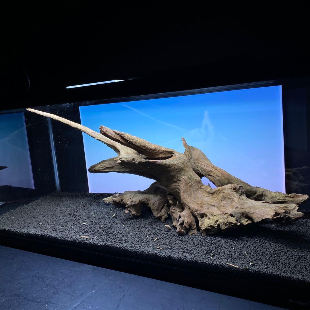 MRW-6371 特大流木　1点物自立　90cm水槽用　アクアリウム　爬虫類